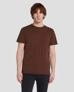 7 For All Mankind Featherweight Tee In Chestnut